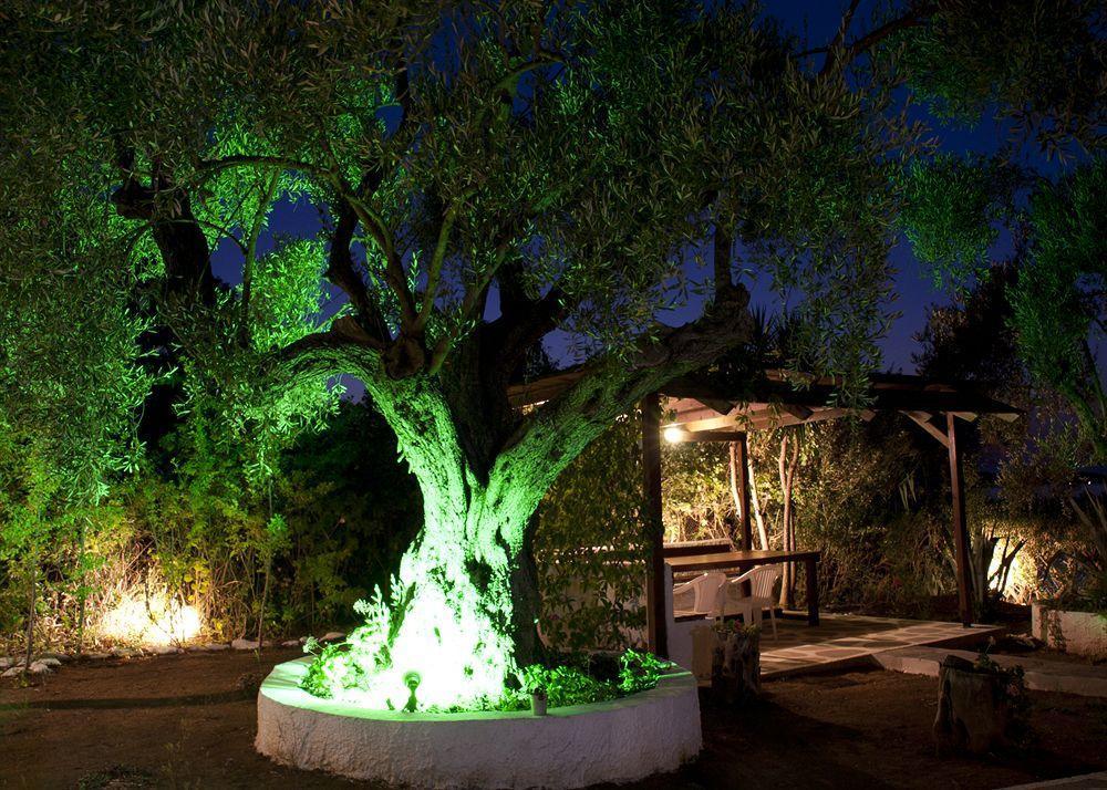 Trikeri Villas Extérieur photo